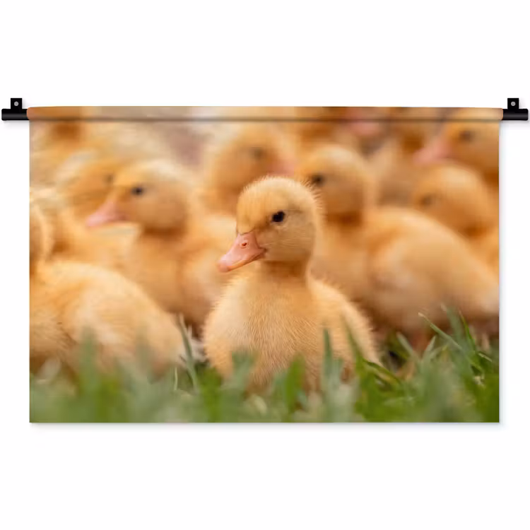Pijltje - Eend - Natuur - Geel Wandkleed katoen klein -zz3d