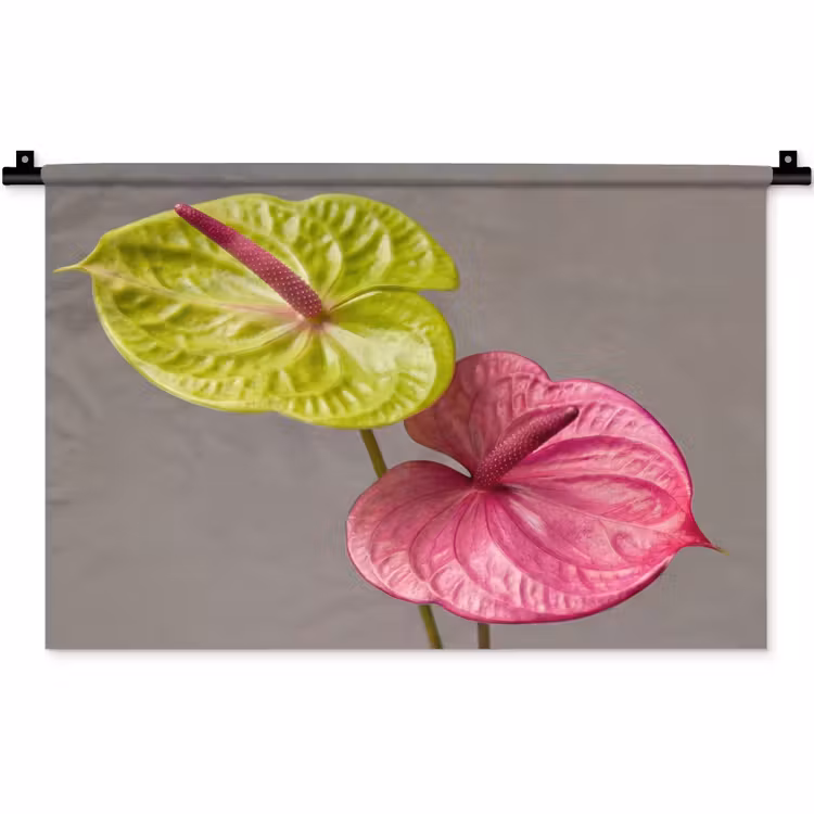 Planten - Anthurium - Groen - Roze Wandkleed katoen klein -zz3d