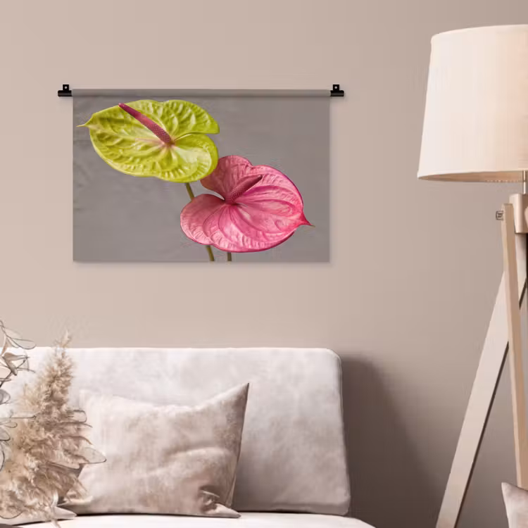 Planten - Anthurium - Groen - Roze Wandkleed katoen klein -sfeer4