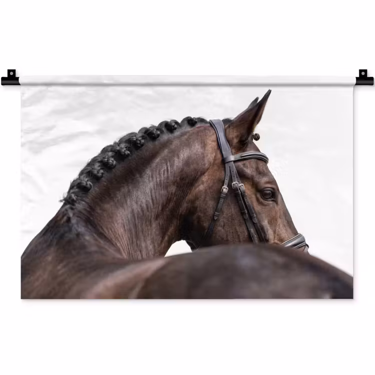 Portret - Paard - Elegant Wandkleed katoen klein -zz3d