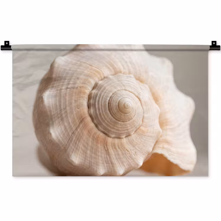 Schelp - Detail - Beige Wandkleed katoen klein -zz3d