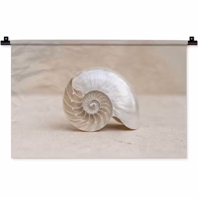 Schelp - Spiraal - Beige Wandkleed katoen klein -zz3d