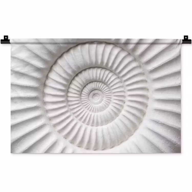 Schelp - Spiraal - Wit Wandkleed katoen klein -zz3d