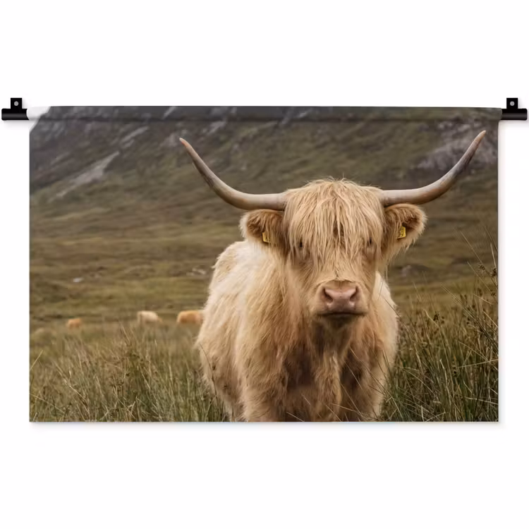 Schotse hooglander - Bergen - Grasveld Wandkleed katoen klein -zz3d