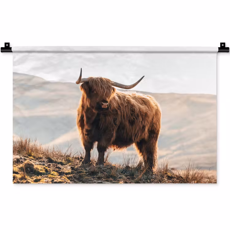 Schotse hooglander - Dieren - Landelijk - Landschap - Koe - Natuur Wandkleed katoen klein -zz3d