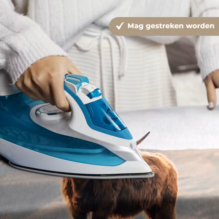Schotse hooglander - Dieren - Landelijk - Landschap - Koe - Natuur Wandkleed katoen klein -sfeer9