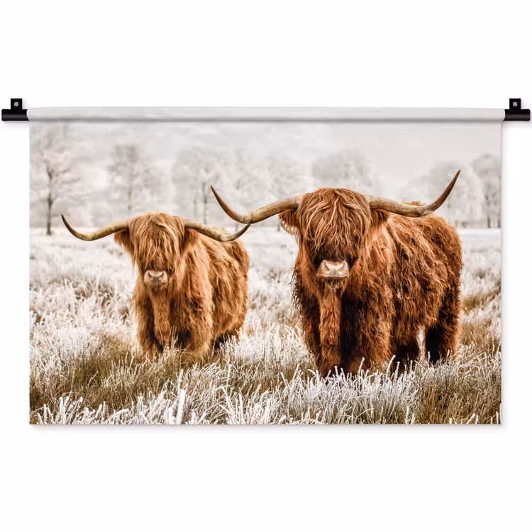 Schotse hooglander - Koe - Dieren - Natuur - Heide Wandkleed katoen klein -zz3d