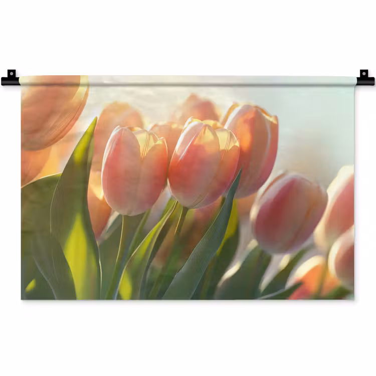 Tulpen - Roze - Zonnestralen Wandkleed katoen klein -zz3d