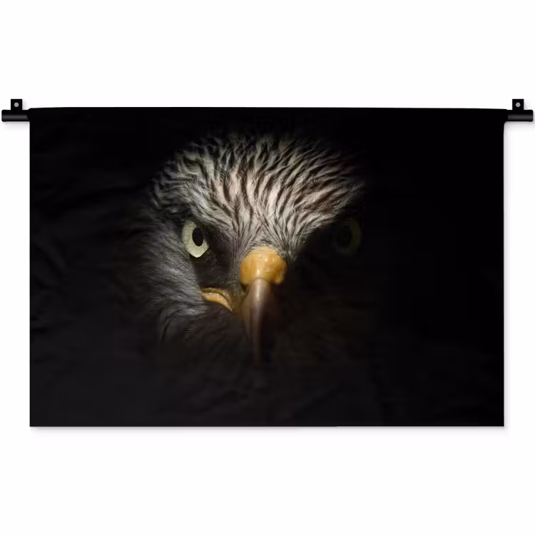 Vogel - Adelaar - Roofvogels - Oog - Snavel - Licht Wandkleed katoen klein -zz3d