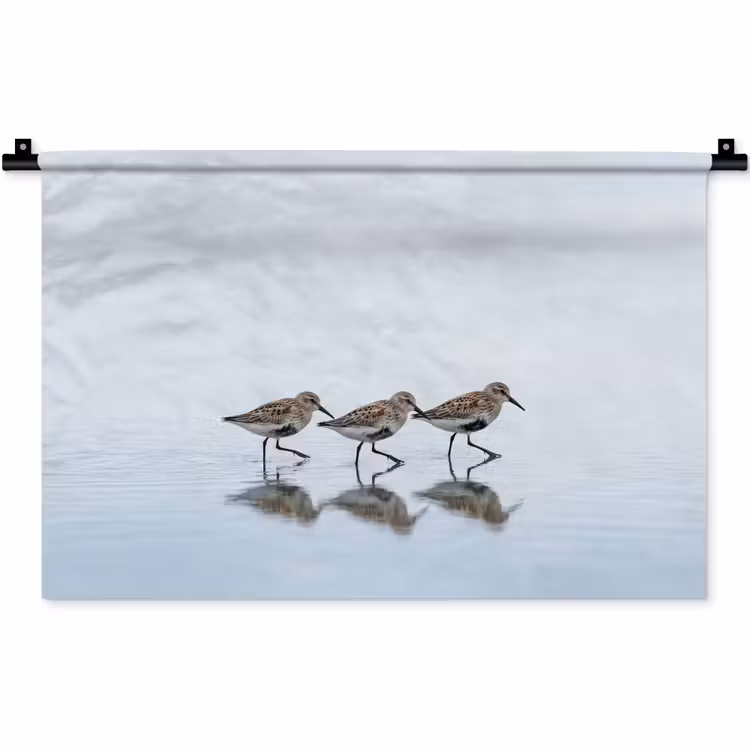 Vogels - Water - Grijs Wandkleed katoen klein -zz3d