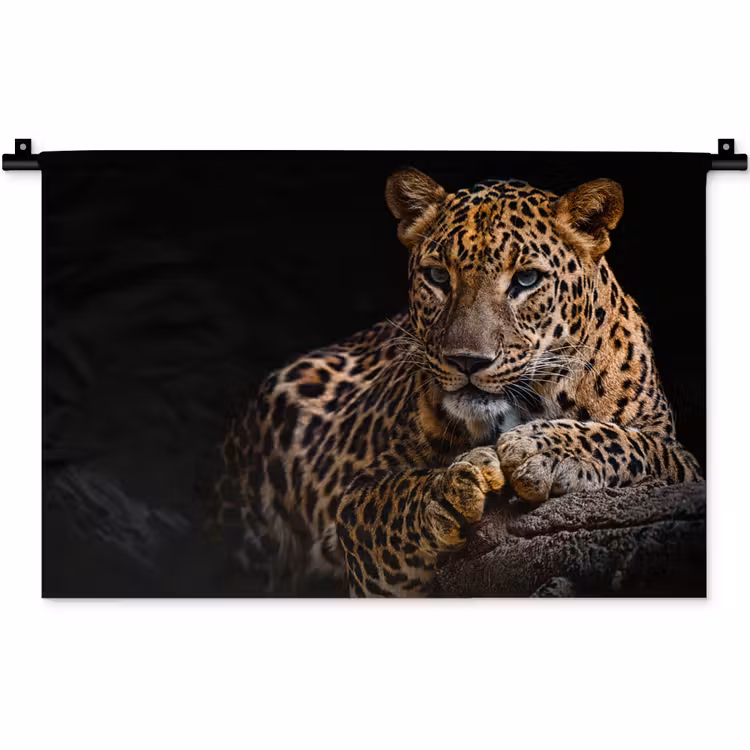 Wilde dieren - Panter - Portret - Zwart - Dieren Wandkleed katoen klein -zz3d
