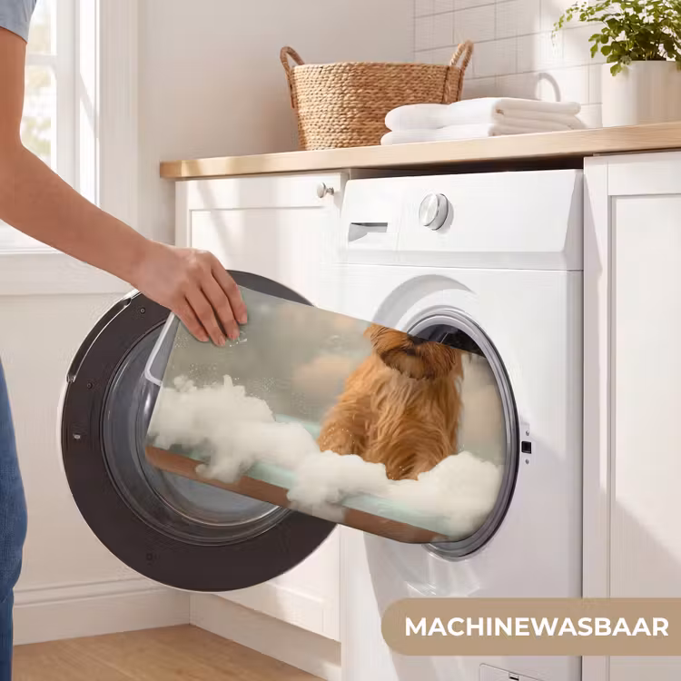 Hond - Bad - Dieren - Schuim WCmat klein -USP_WasbaarNL