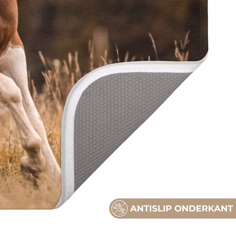 Paard - Bruin - Gras WCmat klein -USP_AntislipNL