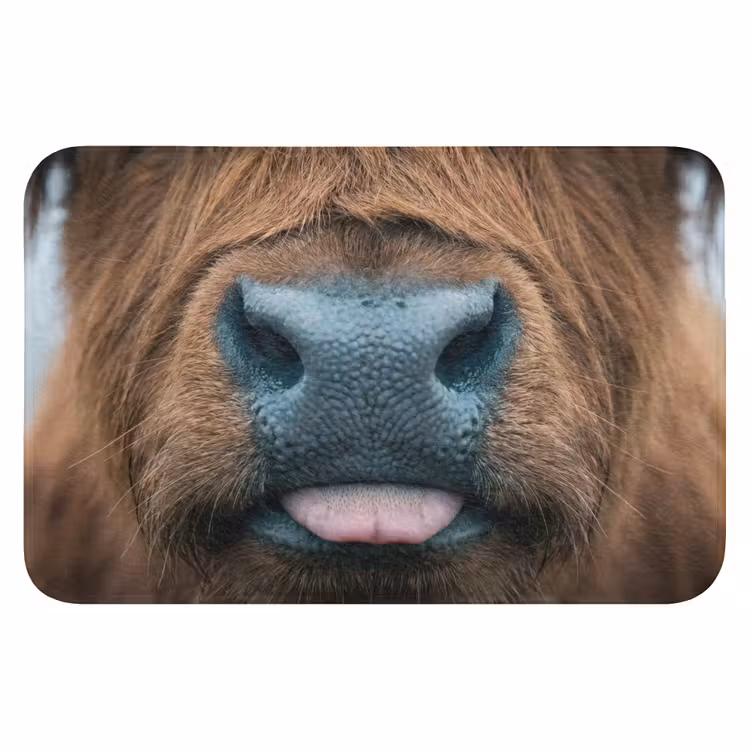 Schotse hooglander - Neus - Bruin WCmat klein -3d