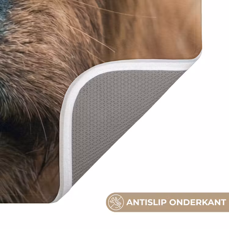 Schotse hooglander - Neus - Bruin WCmat klein -USP_AntislipNL