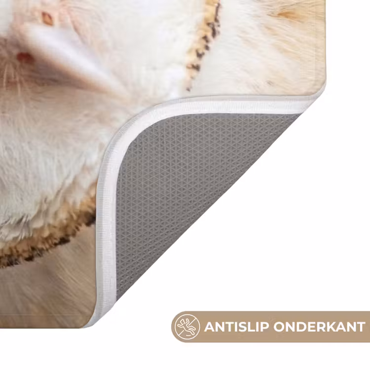 Uil - Bruin - Wit WCmat klein -USP_AntislipNL
