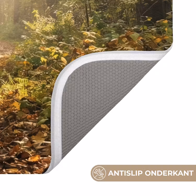 Zonlicht - Bospad - Bomen WCmat klein -USP_AntislipNL