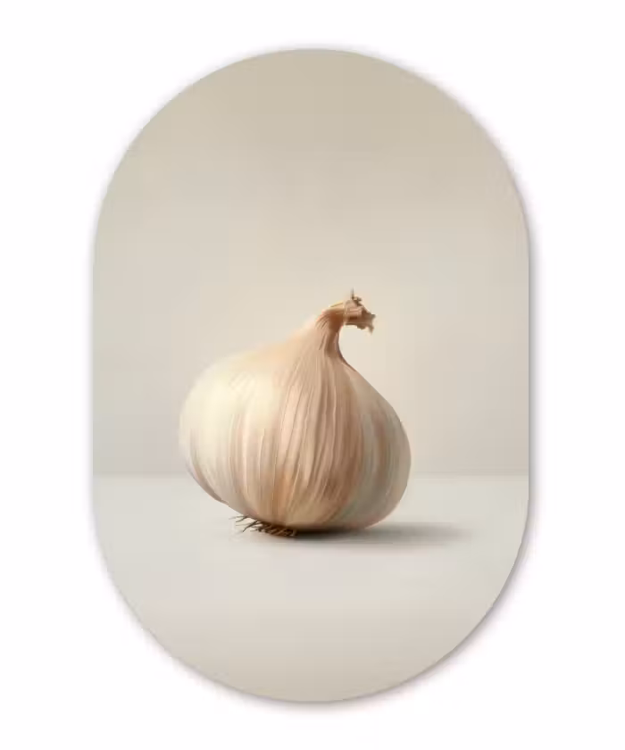 Muurovaal glas - Knoflook - Natuurlijk - Beige