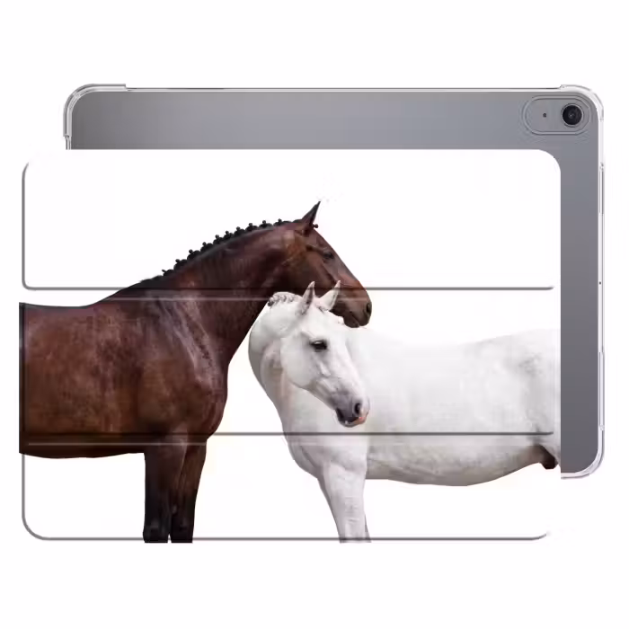 Paard - Modern - Balans