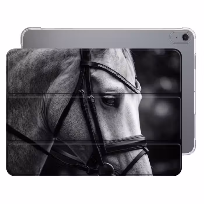 Paard - Schimmel - Portret