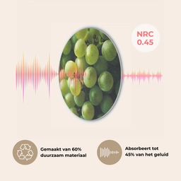 Druiven - Tros - Groen Akoestische PET Vilt - Rond klein -USP_NL