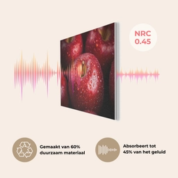 Rood - Appels - Fruit PET vilt klein -USP_NL
