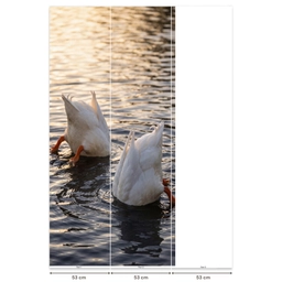 Eenden - Water - Natuur Behang Vlies klein -USP_banen