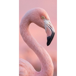 Flamingo - Portret - Roze Behang Vlies klein -3d_website