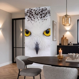 Sneeuwuil - Portret - Geel Behang Vlies klein -sfeer3