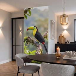 Toekan - Jungle - Natuur - Kleurrijk Behang Vlies klein -sfeer3