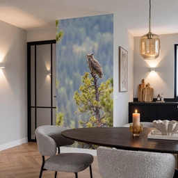 Uil - Oehoe - Bomen - Natuur Behang Vlies klein -sfeer3