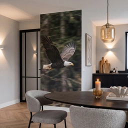 Zeearend - Vliegen - Bos - Natuur Behang Vlies klein -sfeer3