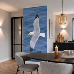 Zeemeeuw - Oceaan - Blauw Behang Vlies klein -sfeer3
