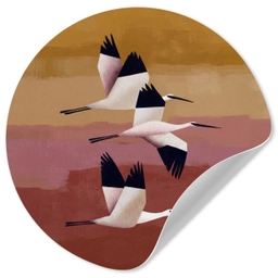 Vogels - Snavel - Abstract Wandcirkel behangsticker klein -3d