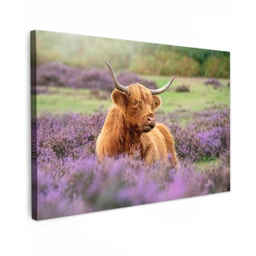 Hooglander in de Heide Tuinposter op houten frame 2 cm dik klein -3d