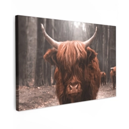 Hooglander in het Bos Tuinposter op houten frame 2 cm dik klein -3d