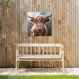 Imposante Hooglander in de Natuur Tuinposter op houten frame 2 cm dik middel -sfeer4