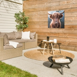 Imposante Hooglander in de Natuur Tuinposter op houten frame 2 cm dik middel -sfeer2