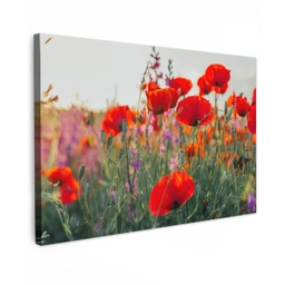 Klaproos - Bloemen - Rood - Paars - Weide Tuinposter op houten frame 2 cm dik klein -3d