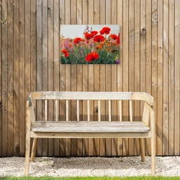 Klaproos - Bloemen - Rood - Paars - Weide Tuinposter op houten frame 2 cm dik klein -sfeer4