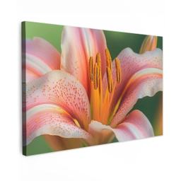 Lelie - Close up - Lichtroze Tuinposter op houten frame 2 cm dik klein -3d