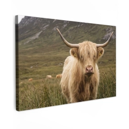 Schotse hooglander - Bergen - Grasveld Tuinposter op houten frame 2 cm dik klein -3d