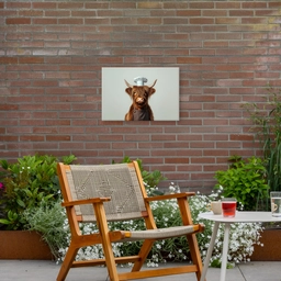 Schotse Hooglander - Bruin - Hoorns - Kokskleding Tuinposter op houten frame 2 cm dik klein -sfeer3