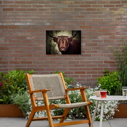 Schotse hooglander - Licht - Portret - Natuur Tuinposter op houten frame 2 cm dik klein -sfeer3