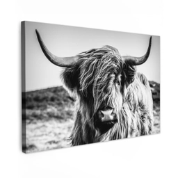 Schotse hooglander - Natuur - Koe - Zwart - Wit Tuinposter op houten frame 2 cm dik klein -3d
