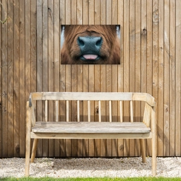 Schotse hooglander - Neus - Bruin Tuinposter op houten frame 2 cm dik klein -sfeer4