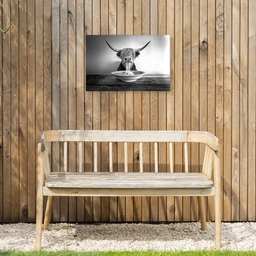 Schotse Hooglander - Spaghetti - Dieren - Zwart wit Tuinposter op houten frame 2 cm dik klein -sfeer4