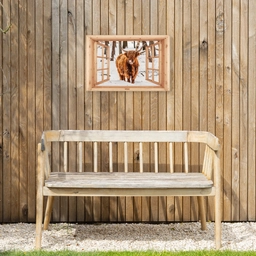 Schotse Hooglander - Winter - Landschap - Natuur - Dieren - Doorkijk Tuinposter op houten frame 2 cm dik klein -sfeer4