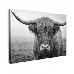 Schotse hooglander - Zwart - Wit - Gras Tuinposter op houten frame 2 cm dik klein -3d
