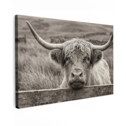 Schotse hooglander - Zwart - Wit - Hout Tuinposter op houten frame 2 cm dik klein -3d